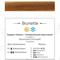 Пігмент для татуажа Brunette Perma Blend