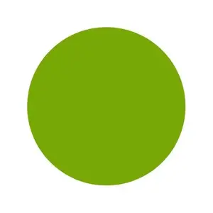 Тату фарба Lime Green Intenze USA (30 мл.)