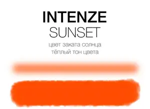 Тату краска Sunset Mike DeMasi Serias Intenze (30 мл.) купить
