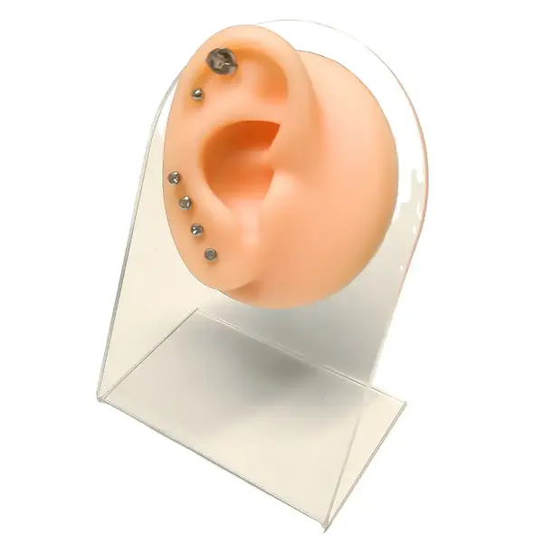 Штучна шкіра OZER форма 7 для практики тату та пірсингу (праве) 43098